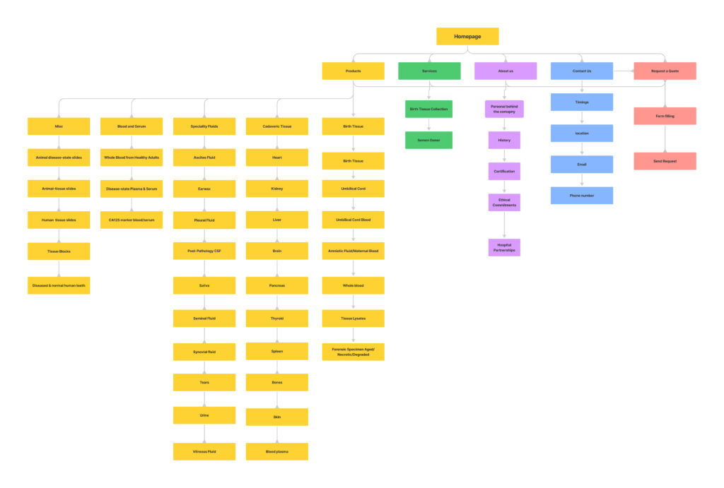 information architecture ui/ux design